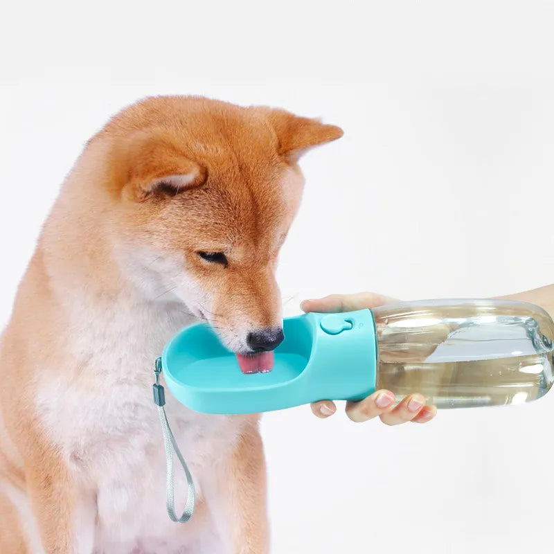 Portable Big Dog Water Bottle for Small, Large Dogs
